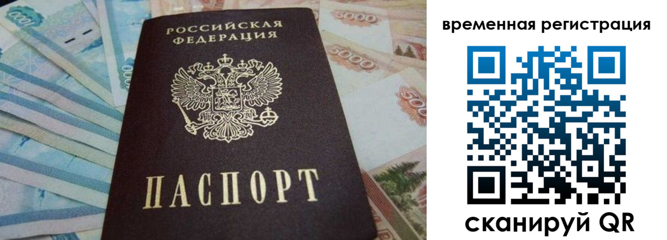 временная регистрация гарантия в Кургане